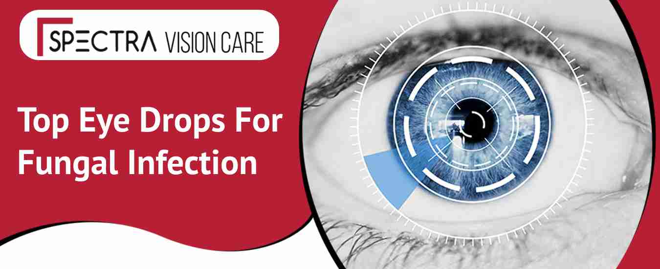 Best Eye Drops For Fungal Infection
